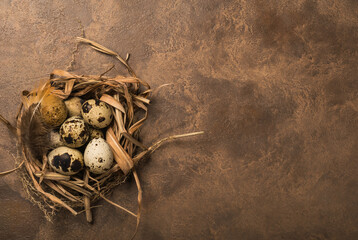 Fototapeta na wymiar quail eggs in a nest and laid out around it border ,place for text on brown rustic background top view close up