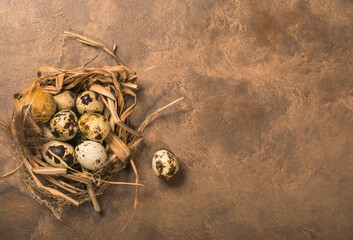quail eggs in a nest and laid out around it border ,place for text on brown rustic background top view close up