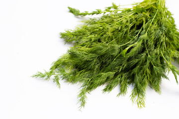 Fresh green dill on white.