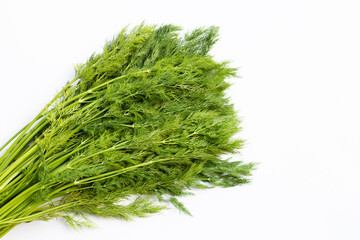 Fresh green dill on white.