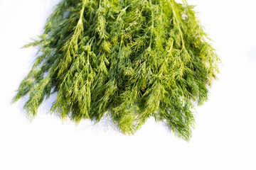 Fresh green dill on white.