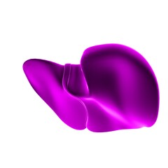 Liver 3D Illustration Human Digestive System Anatomy