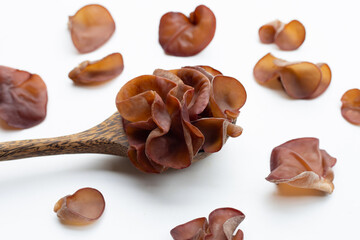 Black fungus mushroom on white.