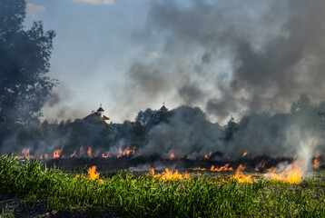 The grass burns in a meadow. Ecological catastrophy. Fire and smoke destroy all life.