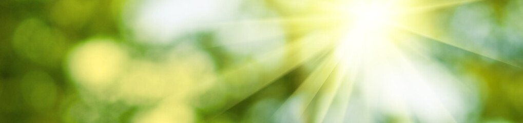 Abstract natural image, sun rays, green blurred background. Horizontal image bright sun on blurred natural background.