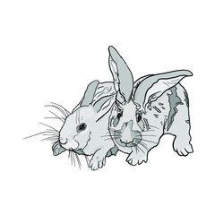 Rabbits illustration. Isolated hares for printing on postcards, preparation for designers, pet shops, farms, 
