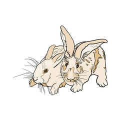 Rabbits illustration. Isolated hares for printing on postcards, preparation for designers, pet shops, farms, 