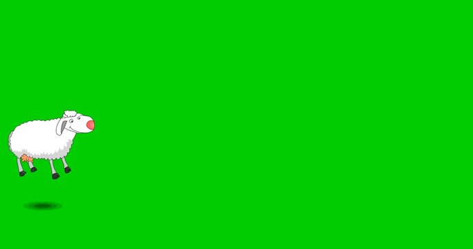 Sheep jumping on green screen. Counting sheep. Run, walk, hop cartoon animal. 2d loop toon. Cell frame draw  character animation.  Editable transparency background. 4k Footage video