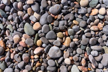 Natural texture of multi-colored oval pebbles that evenly cover the sea beach