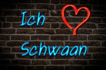 Obraz premium Schwaan