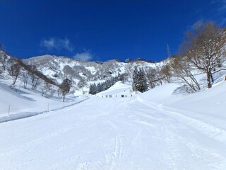 快晴のスキー場、最高のコンデションのゲレンデ、雪山です。