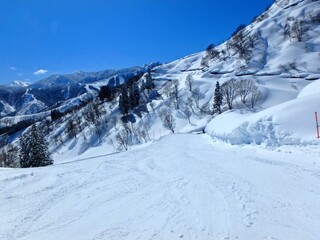 Fototapeta na wymiar 快晴のスキー場、最高のコンデションのゲレンデ、雪山です。