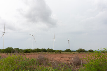 Fototapeta na wymiar Geração de energia limpa com vento em campo deserto
