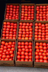 Nine boxes of symmetrically arranged tomatoes stacked for sale