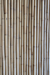 The old bamboo fence texture background.