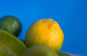 Fresh green eco Lime fruits with green leaf on blue background.