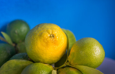 Fresh green eco Lime fruits with green leaf on blue background.