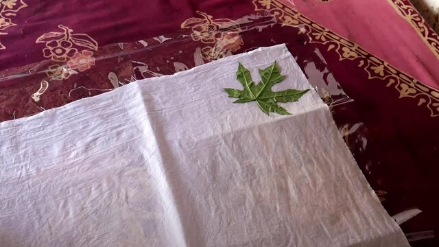 Natural leaves tincture on fabric.The process ecoprint technique on fabric