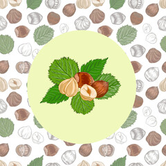 Hazelnuts. Hand drawn watercolor illustration. Healthy food natural products vitamins. Sketch print textile seamless patern set