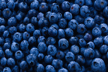 Fresh blueberry background. Texture blueberry berries close up.