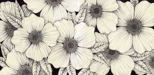 floral background. graphic arts. wildflowers, poppies, spring.