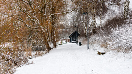 A snow-covered path by the frozen lake, Vejlesø, in Holte (Denmark). Orange branches and a black house make good contrast to the cold, white snow.