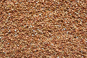The texture of buckwheat. Background with buckwheat grains. Cereal. Healthy food.