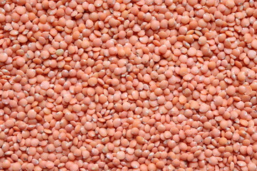 Lentil texture. Background with red lentil seeds. Cereal. Legumes. Healthy food.
