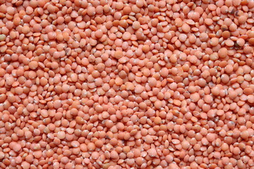Lentil texture. Background with red lentil seeds. Cereal. Legumes. Healthy food.