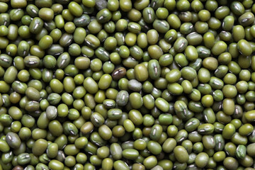 Mung bean background. Green bean mash texture. Legumes.