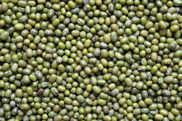 Mung bean background. Green bean mash texture. Legumes.