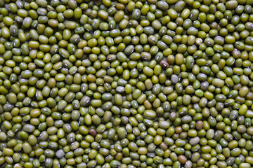 Mung bean background. Green bean mash texture. Legumes.