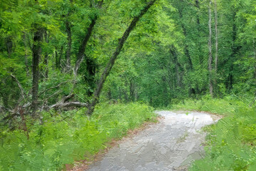 Fototapeta na wymiar Impressionistic Style Artwork of Trail Meandering Through a Summer Forest