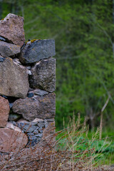 leftovers of stone block building in summer green meadow