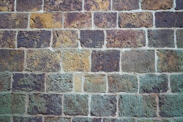 Alte Steinmauer als Hintergrund.