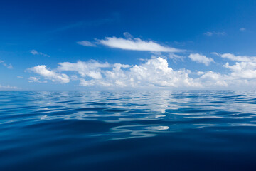 Obraz na płótnie Canvas tropical sea under the blue sky. Sea landscape.
