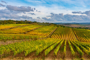 Fototapeta na wymiar Chianti vineyards in autumn