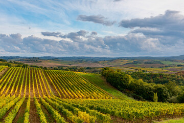 Fototapeta na wymiar Chianti vineyards in autumn