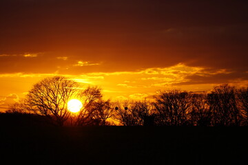 Landscape in the evening in North Rhine Westphalia. Sunset in winter with a dark silhouette.