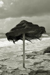 beach umbrella on the beach