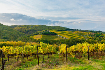 Chianti vineyards in autumn