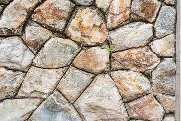 stone wall background and texture with green weed.