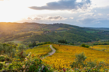 Fototapeta premium Chianti vineyards in autumn