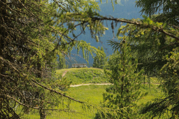 Wooden bench along a mountain pathway, Dolomites, Alta Badia, Italy