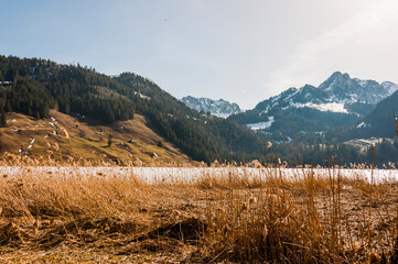 Schwarzsee, Lac Noir, Fribourg, Freiburg, Bergsee, Uferweg, Wanderweg, Schilf, Kaiseregg, Schafberg, Riggisalp, Spitzflue, Winter, Wintersport, Eisfl&auml;che, Alpen, Schweiz