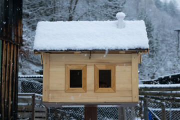 Birdhouse with snow on roof in winter