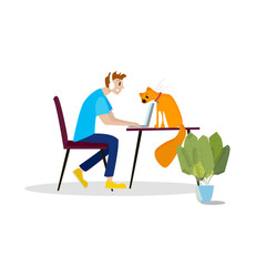 Fototapeta premium Man freelancer working at home on the laptop. Next to him sits a red cat. Vector illustration. There is a potted flower on the floor