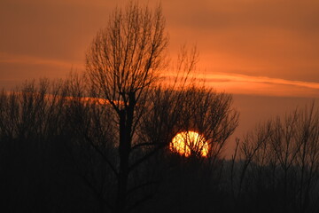 Beauty sunset over forest with orange sky and sun behind the trees