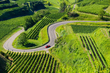 Beautiful vineyard landscape showing a red car driving up a curvy mountain pass road at the Kaiserstuhl, Germany.  - obrazy, fototapety, plakaty