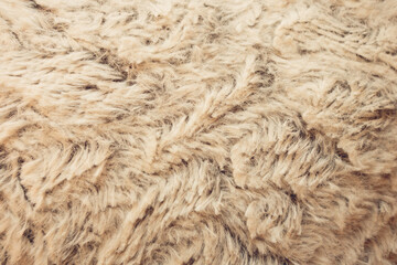 White fur background close up view